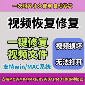 损坏MP4视频修复软件断电恢复工具短片导出摄像机视频文件修复-淘宝虚拟仓