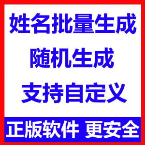 姓名批量生成工具 用户名随机不重复生成软件 可自定义-淘宝虚拟仓