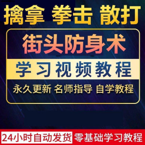 街头防身术擒拿拳击散打视频教程全套入门自学零基础学习教程视频-淘宝虚拟仓